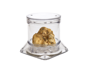 Sanelli Ambrogio - Tuberpack Contenitore per Tartufo Ø 6cm