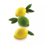 Silikomart Professional - Stampo in Silicone Limone e Lime 120 - 4 Cavità
